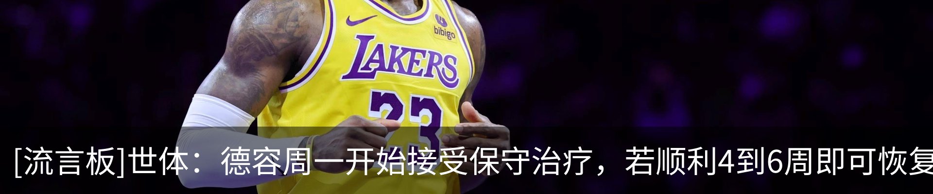 新闻动态
